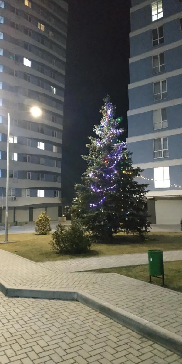 Image 2 of Апартаменты премиум класса у цирка