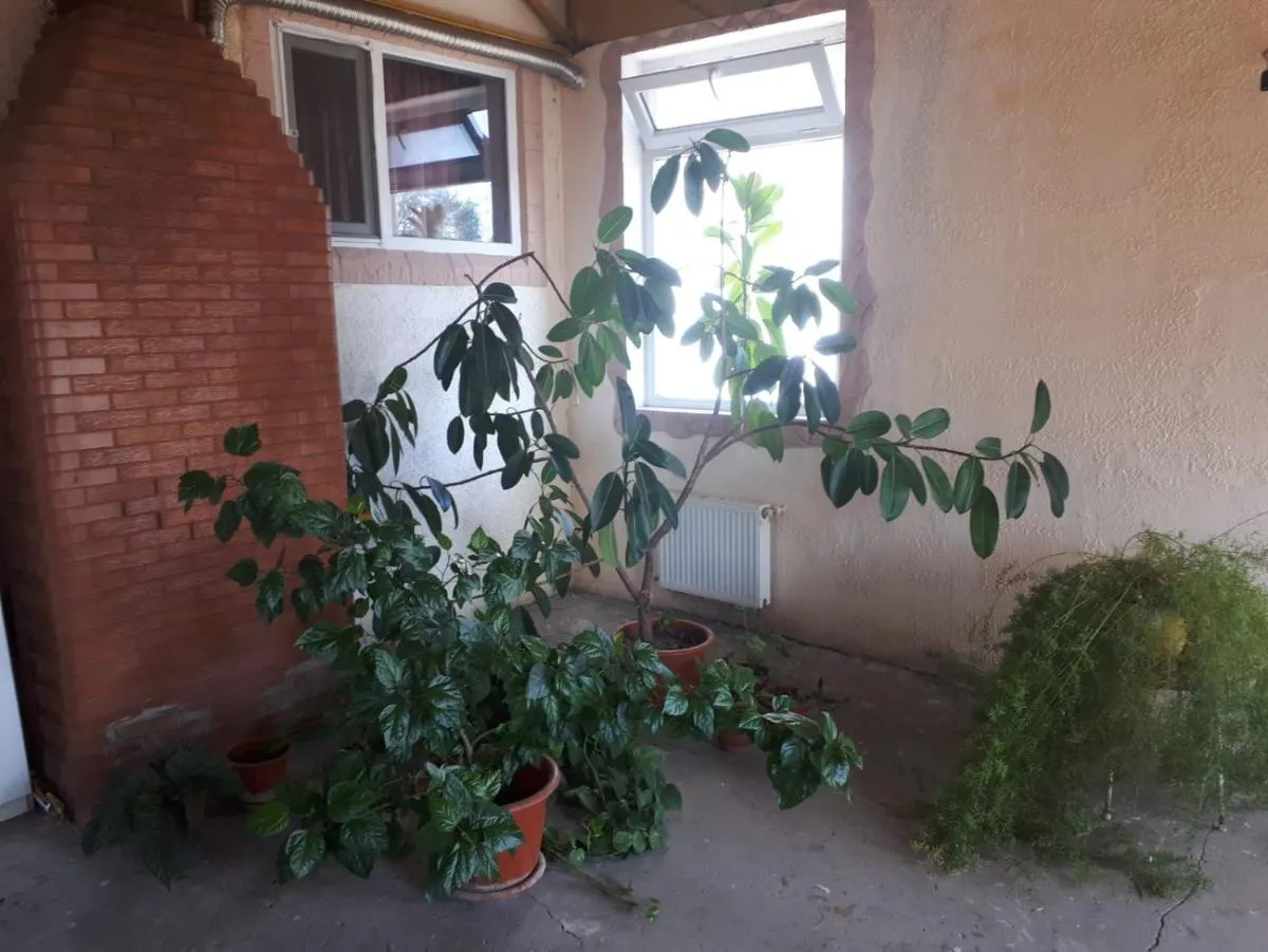 Image 1 of La Vitalie Guest House